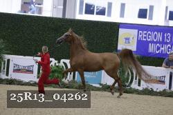 25R13_04262 thumbnail