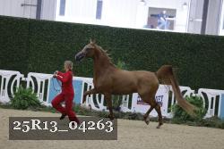 25R13_04263 thumbnail