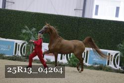25R13_04264 thumbnail