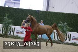25R13_04265 thumbnail