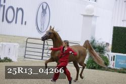 25R13_04266 thumbnail