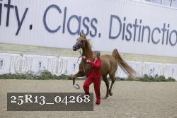 25R13_04268 thumbnail