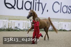 25R13_04269 thumbnail