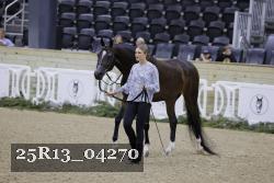 25R13_04270 thumbnail