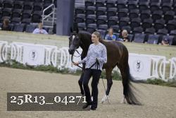 25R13_04271 thumbnail