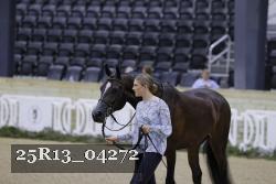 25R13_04272 thumbnail