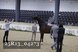 25R13_04273 thumbnail
