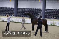 25R13_04275 thumbnail