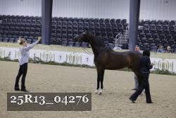 25R13_04276 thumbnail