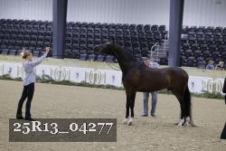 25R13_04277 thumbnail