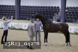 25R13_04278 thumbnail