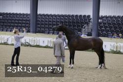 25R13_04279 thumbnail