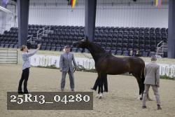 25R13_04280 thumbnail