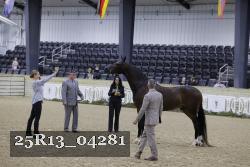 25R13_04281 thumbnail