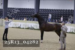 25R13_04282 thumbnail