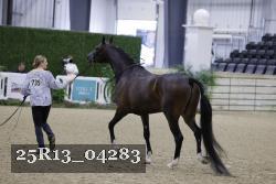 25R13_04283 thumbnail