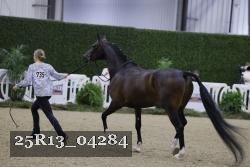 25R13_04284 thumbnail
