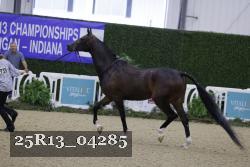 25R13_04285 thumbnail