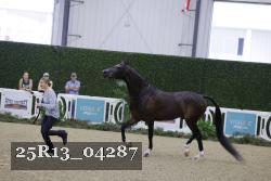 25R13_04287 thumbnail
