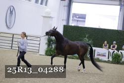 25R13_04288 thumbnail