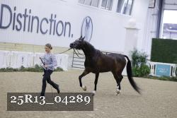 25R13_04289 thumbnail