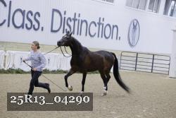 25R13_04290 thumbnail