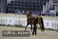 25R13_04291 thumbnail