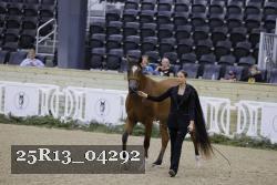 25R13_04292 thumbnail