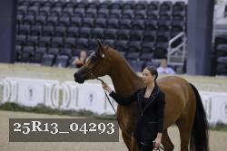 25R13_04293 thumbnail