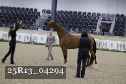 25R13_04294 thumbnail