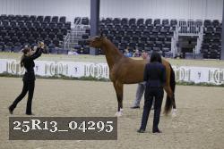 25R13_04295 thumbnail
