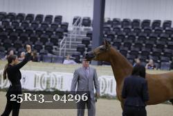 25R13_04296 thumbnail