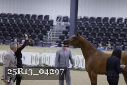 25R13_04297 thumbnail