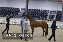 25R13_04299 thumbnail