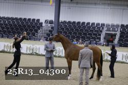 25R13_04300 thumbnail