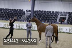 25R13_04301 thumbnail