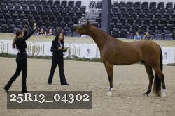 25R13_04302 thumbnail