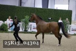 25R13_04304 thumbnail