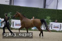 25R13_04305 thumbnail