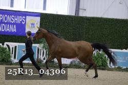 25R13_04306 thumbnail