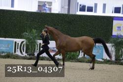 25R13_04307 thumbnail