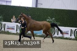 25R13_04308 thumbnail