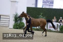 25R13_04309 thumbnail