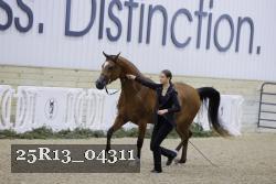 25R13_04311 thumbnail