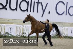 25R13_04312 thumbnail
