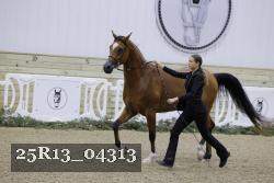 25R13_04313 thumbnail
