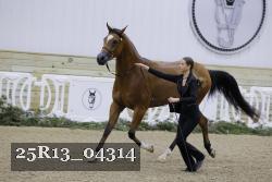25R13_04314 thumbnail