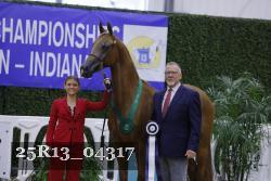 25R13_04317 thumbnail
