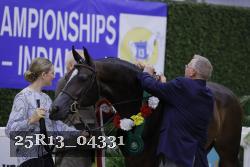 25R13_04331 thumbnail