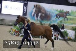25R13_04342 thumbnail